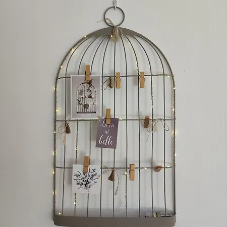 Apartment Costalita On The - 3 Bedroom Cosy